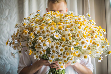 Similar image 22398983