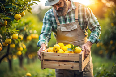 Similar image 22398584