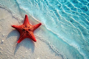 Similar image 22395560