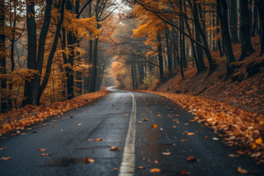 Similar image 22397373