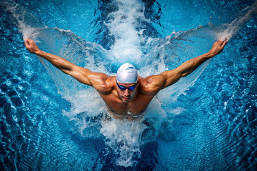 Similar image 22396511