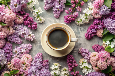 Similar image 22397218