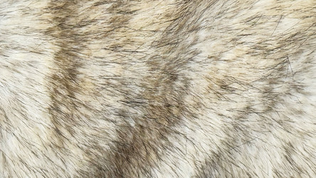 Similar image 22443884