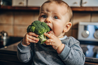 Similar image 22397555