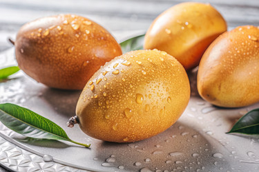 Similar image 22399559