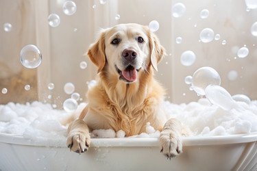 Similar image 22396893