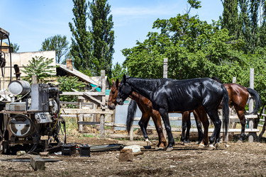 Similar image 22418941