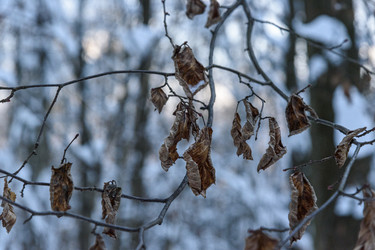 Similar image 22403600