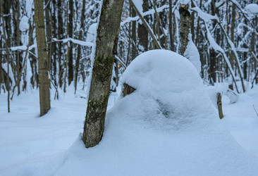 Similar image 22403601