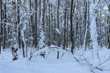 Similar image 22403602