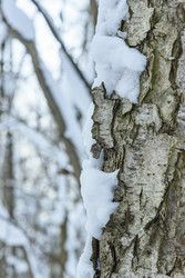 Similar image 22403603