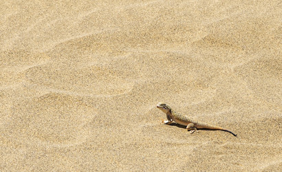 Similar image 22418960