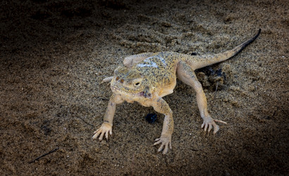 Similar image 22418961