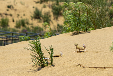 Similar image 22418962