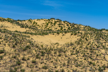 Similar image 22418963