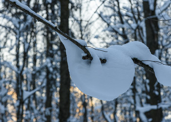 Similar image 22403607