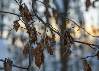 Similar image 22404551