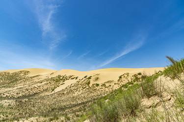 Similar image 22410565