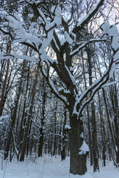 Similar image 22403608