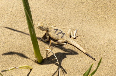 Similar image 22418977