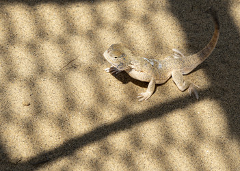 Similar image 22418978