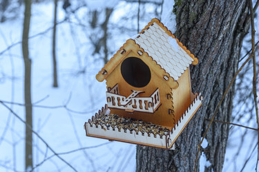 Similar image 22403590