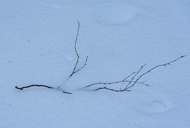 Similar image 22403591