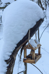 Similar image 22403592