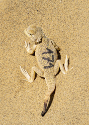 Similar image 22418979