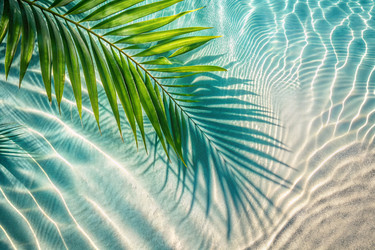 Similar image 22410091