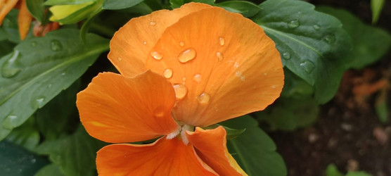 Similar image 22464941