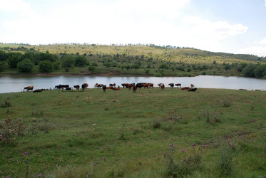 Similar image 22464942