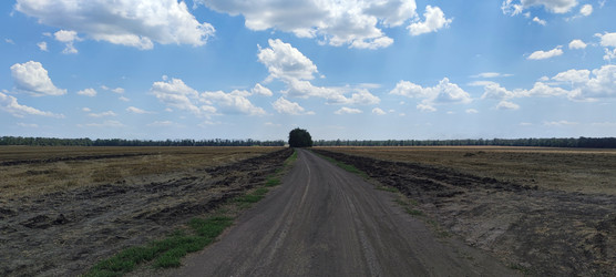 Similar image 22464877