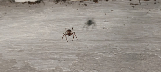 Similar image 22464897