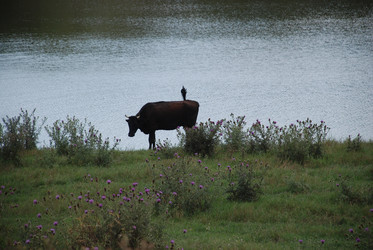 Similar image 22464909