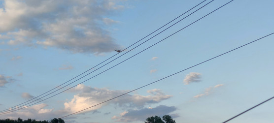 Similar image 22464910