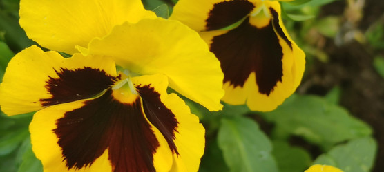 Similar image 22464912