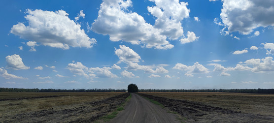 Similar image 22464914