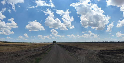 Similar image 22464926