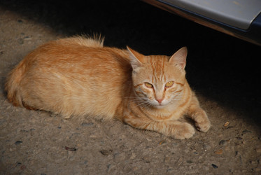 Similar image 22464927