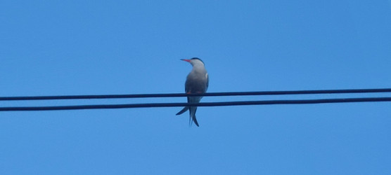 Similar image 22464944