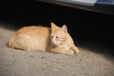 Similar image 22464945