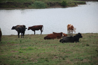 Similar image 22464948