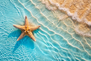 Similar image 22398647