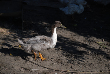 Similar image 22464860