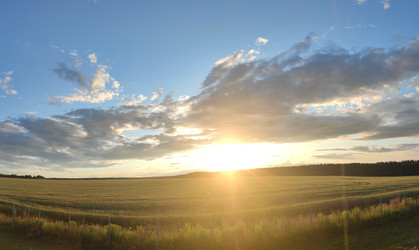 Similar image 22464863