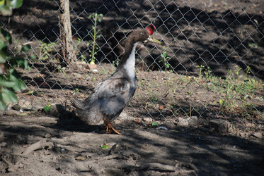 Similar image 22464864