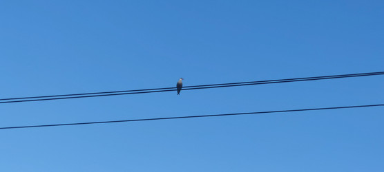 Similar image 22464867