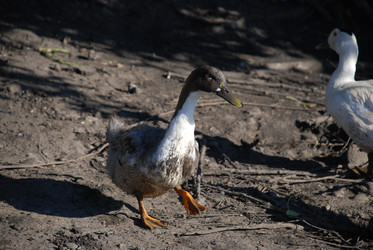 Similar image 22464880