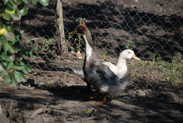 Similar image 22464918